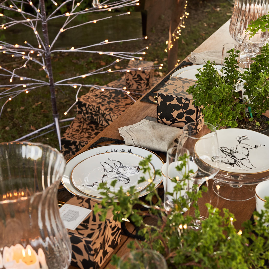 Looking at the stars