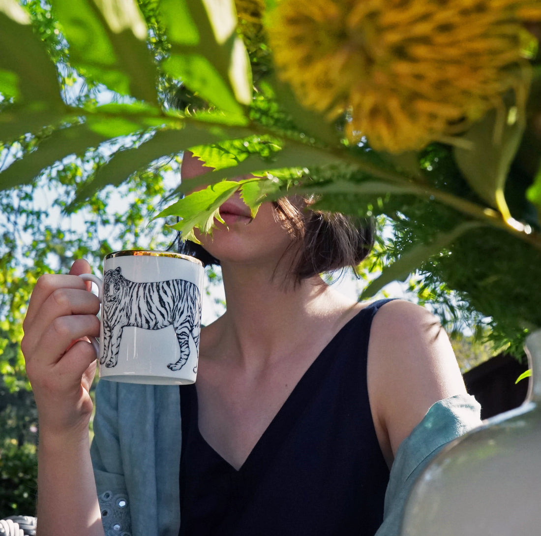 Ferveur et effervescence